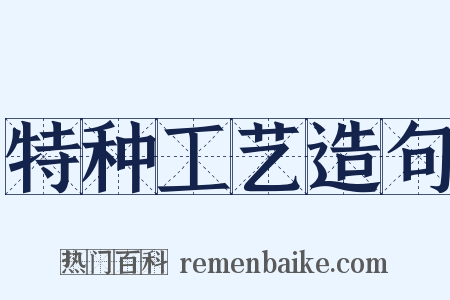 特种工艺造句是什么意思的图片